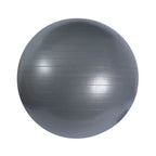 Bola de Pilates 75cm Cinza - Acte Sports - Loja do Fisioterapeuta